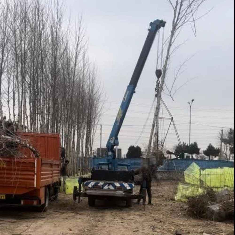 خدمات بالابر و لجور تا ارتفاع ۳۰ متر